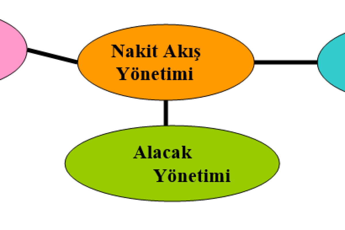 Nakit Akış Yönetimi- Hedef ve İzleme -Excel Uygulamaları10 Aralık 2022 Webinar